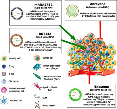 Nanoparticle-based immunotherapy of pancreatic cancer